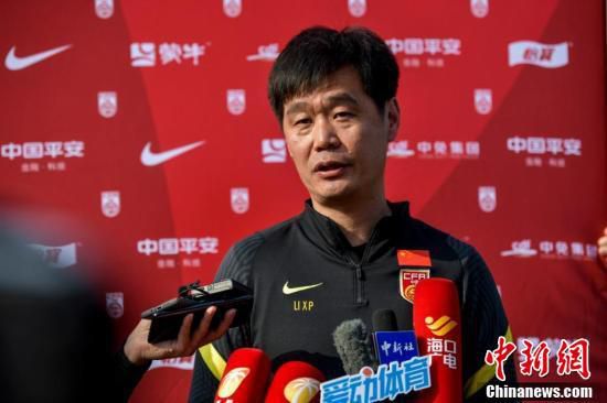 绿野仙踪林视频入口欢迎您